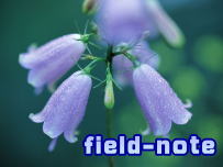 field-note